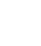 Virtual Solutions
